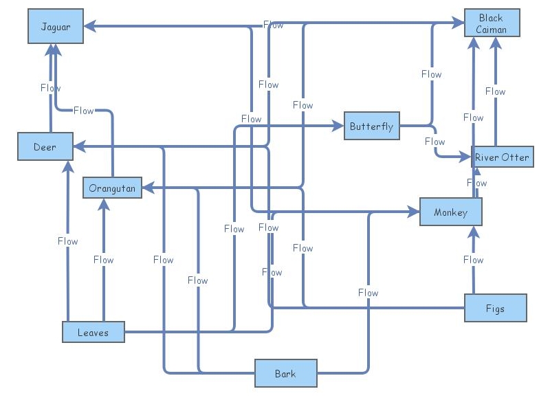 EAP Orangutans in the Amazon Food  Insight Maker