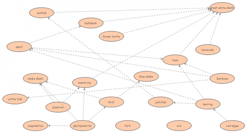 Open Ocean Food Web Insight Maker Open Ocean Food Web Insight Maker