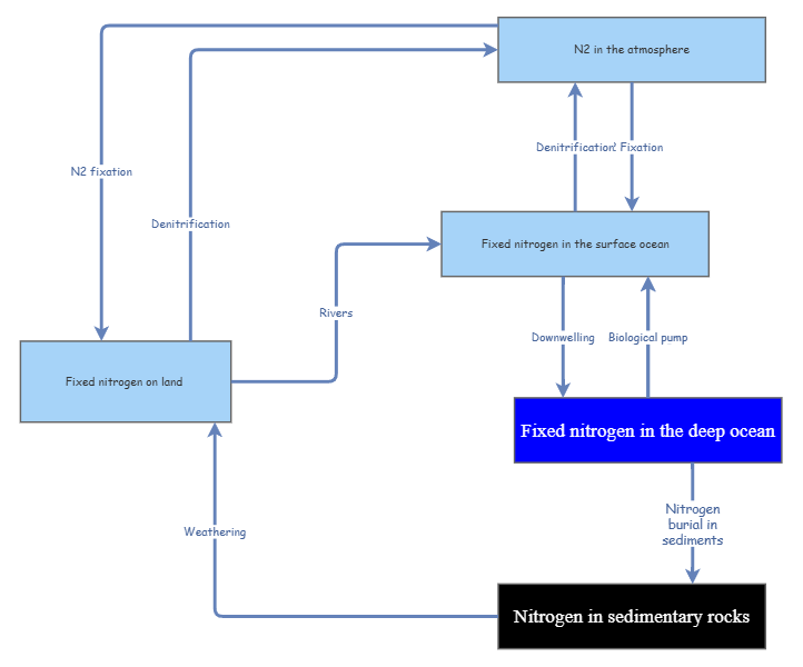 nitrogen cycle.2 | Insight Maker