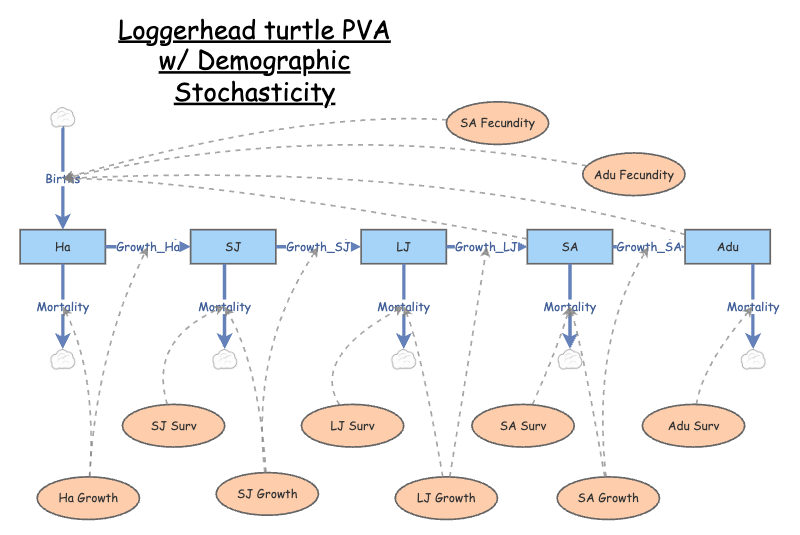 Clone of Loggerhead PVA | Insight Maker