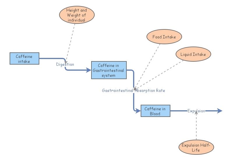 Caffeine Model V2 | Insight Maker