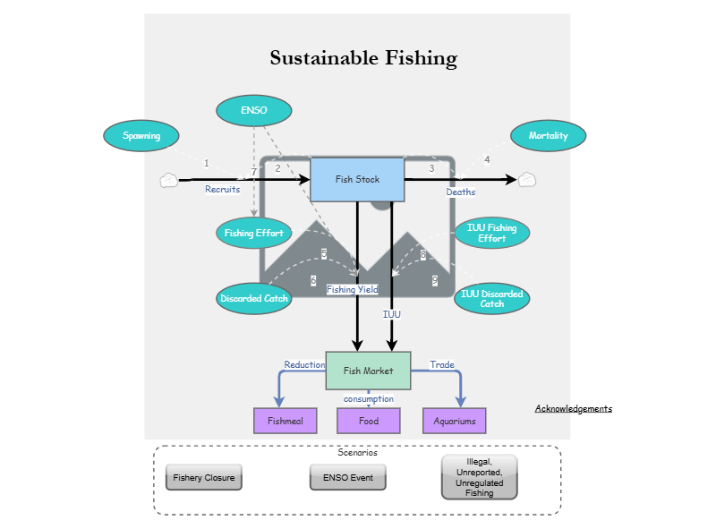 Clone of Sustainable Fishing Model | Insight Maker