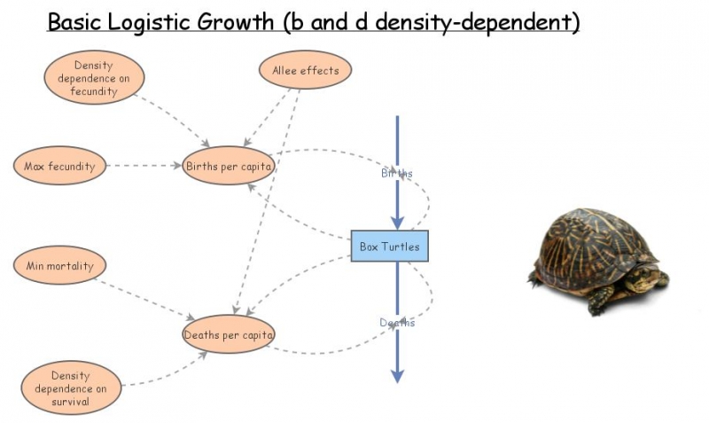 Logistic Growth 1 | Insight Maker
