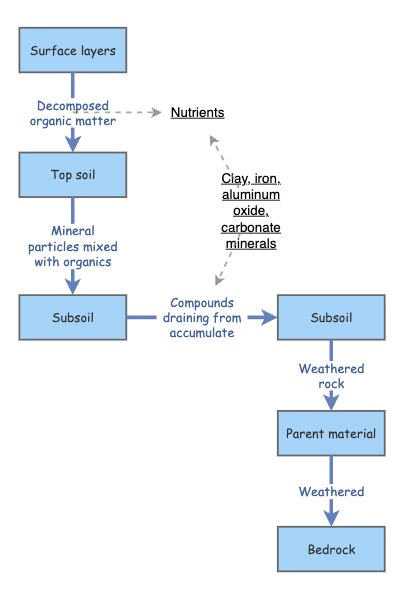Soils systems diagram | Insight Maker