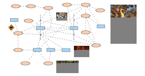 Koala Population in South East Queensland | Insight Maker