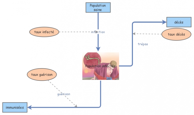simulation EBOLA | Insight Maker