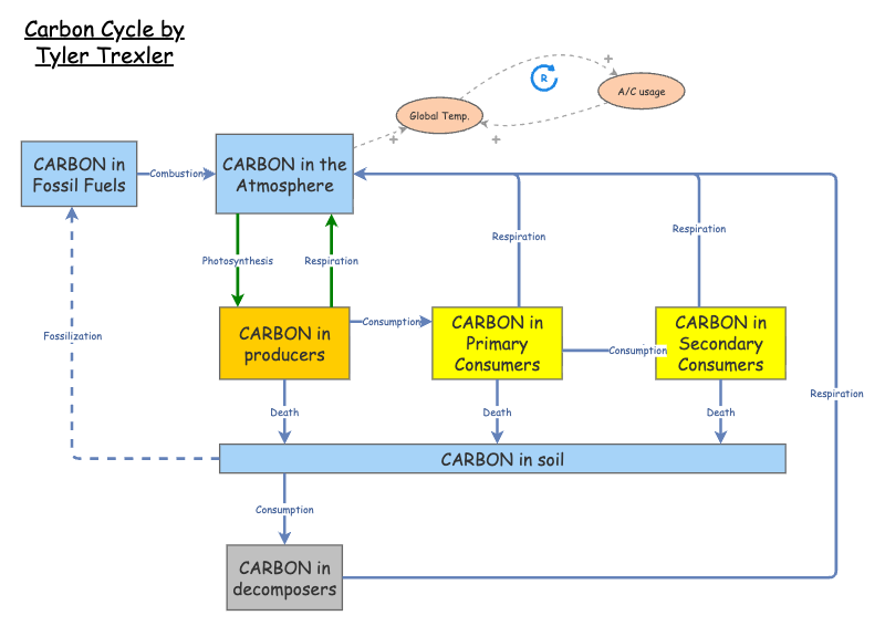 Carbon Cycle Trexler | Insight Maker