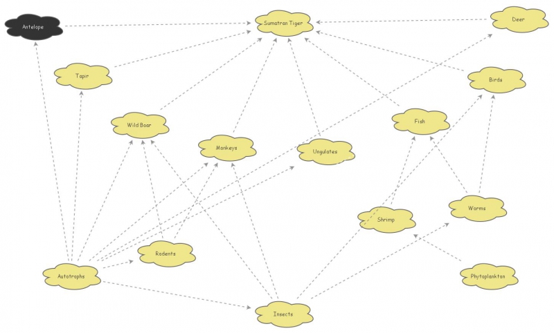 Jonathan Butler - Sumatran Tiger Food Web | Insight Maker