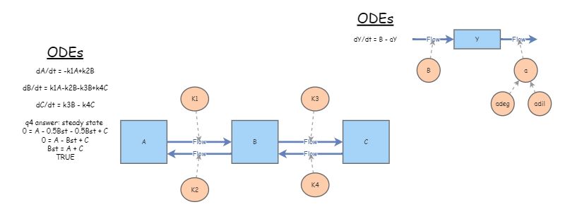 practice | Insight Maker