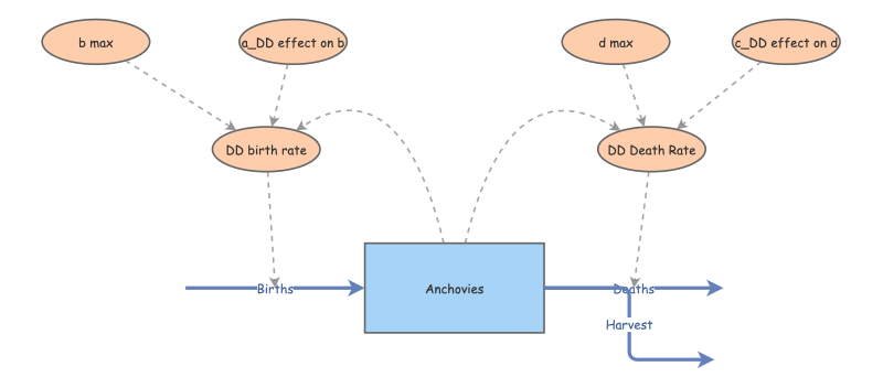 Anchovies Lab 2 | Insight Maker