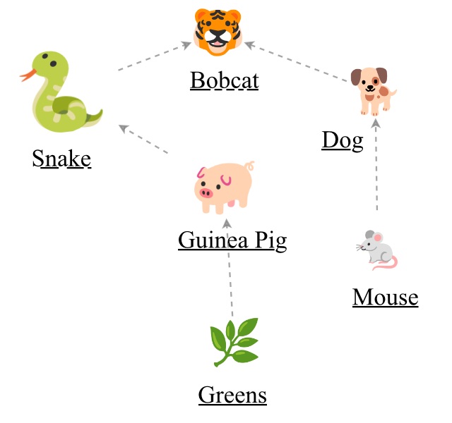 food web assignment insight maker