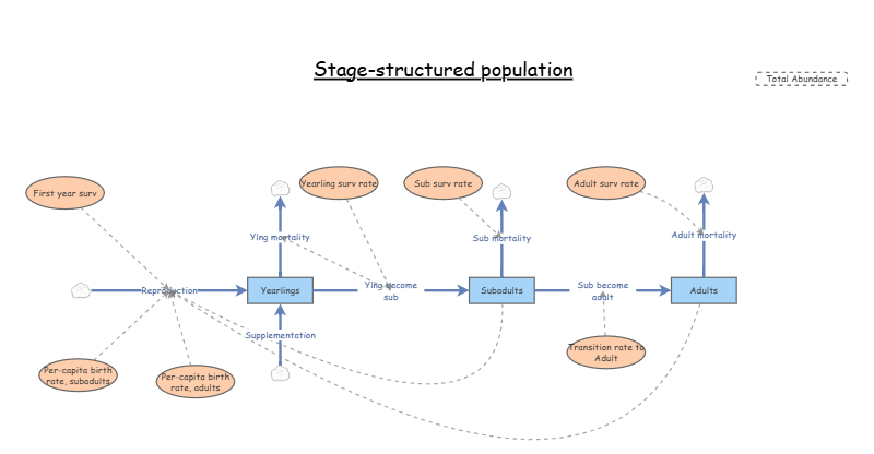 Stage-structured population | Insight Maker