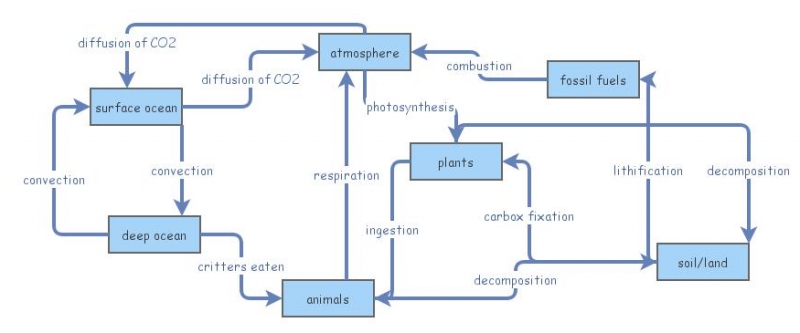 Carbon Cycle - 2018 | Insight Maker