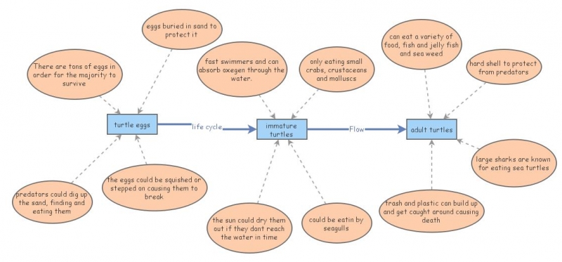homework | Insight Maker