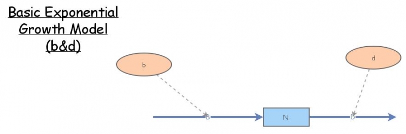 Basic exponential growth b and d | Insight Maker