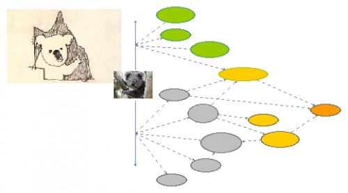 Koala Population - South-East Queensland | Insight Maker