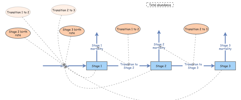 Stage-structured Population Model | Insight Maker