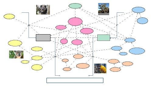 Koala Population Growth in SEQ | Insight Maker