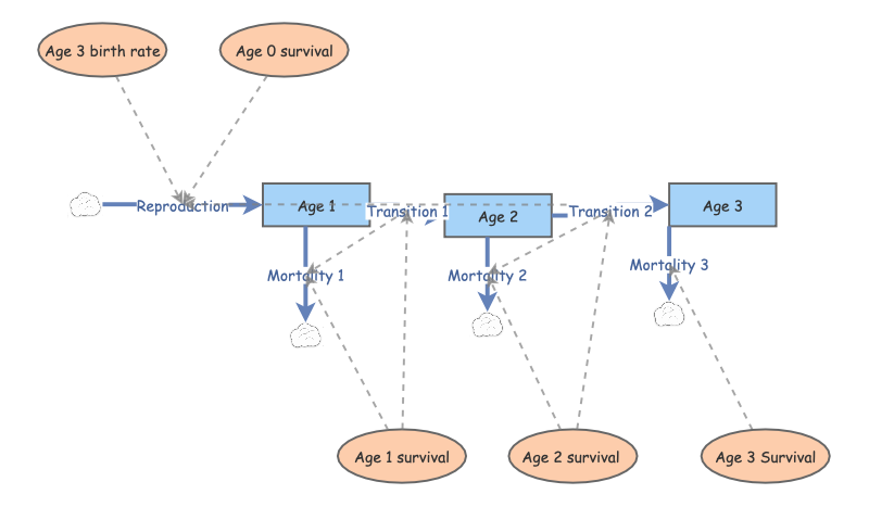 Project Age Structure Model | Insight Maker
