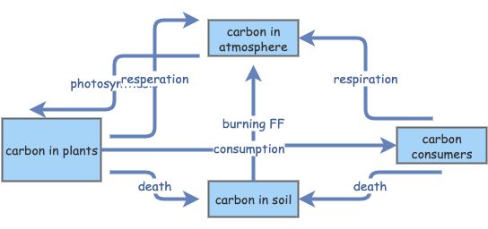 Carbon Cycle S&F | Insight Maker