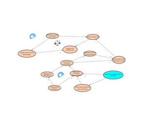 modelo 2 | Insight Maker