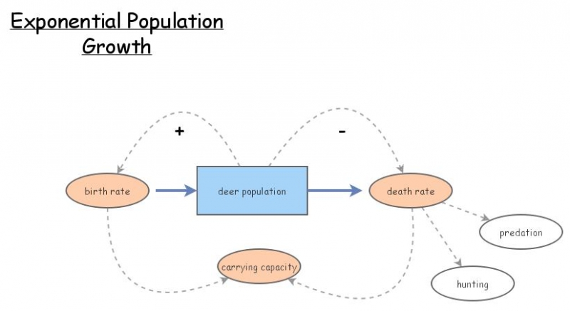 Exponential Population Growth Insight Maker Exponential Population Growth Insight Maker