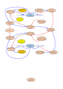 Extending the Predator-Prey Oscillation Model Extended SFM | Insight Maker