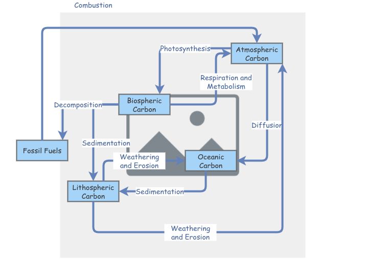 Carbon Cycle | Insight Maker