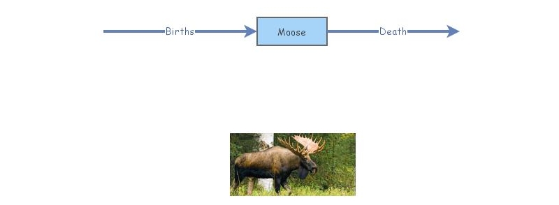 Useless moose model | Insight Maker
