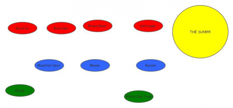 food web assignment insight maker