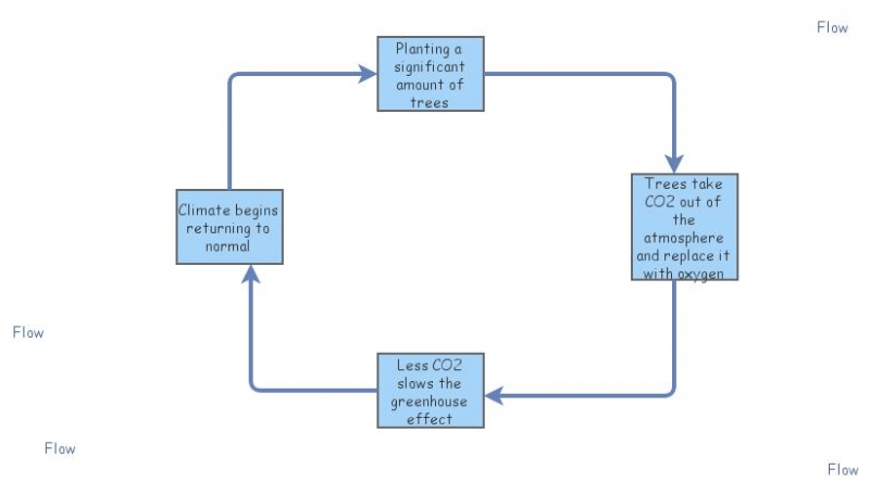 Feedback Loop Due to Planting More Trees | Insight Maker