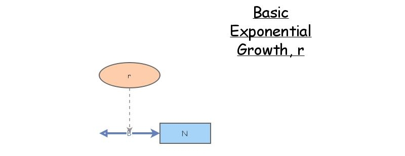 Basic Exponential Growth, r | Insight Maker