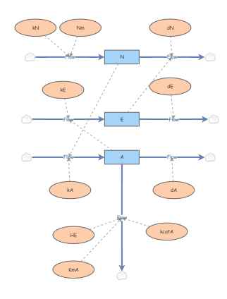 4260A Assignment 2- Modelling a Quorum Sensing Circuit | Insight Maker