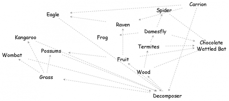 Black Mountian Food Web Insight Maker 3133