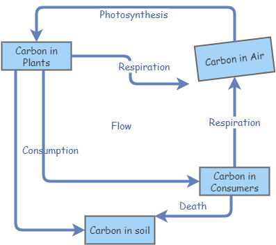 carbon stock and flow | Insight Maker