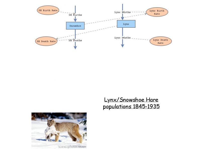 Clone of NRES 470: Lynx/Snowshoe Hare Predator/Prey Relationship