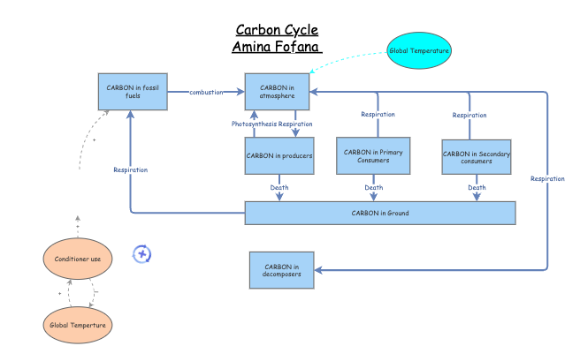 Carbon Cycle | Insight Maker