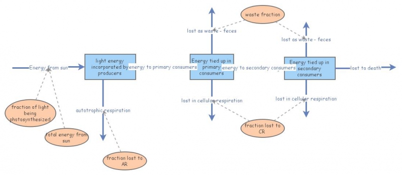 energy flow ecosystem | Insight Maker
