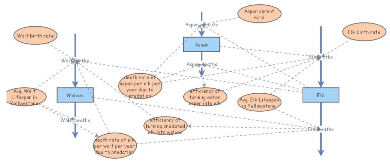 Final Project Insight Maker
