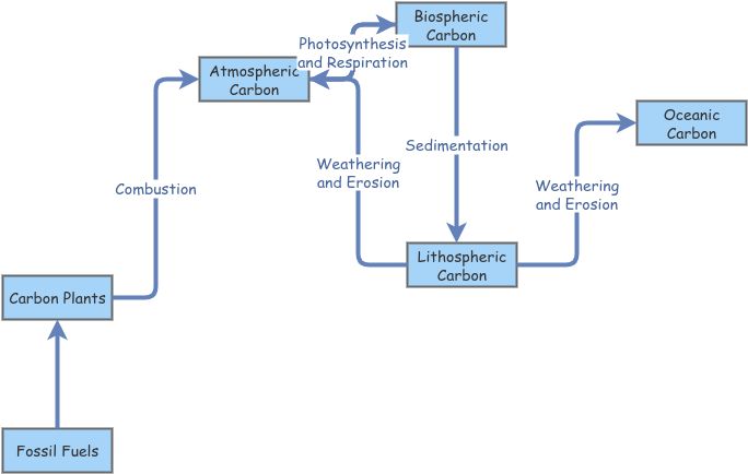 Carbon Cycle | Insight Maker