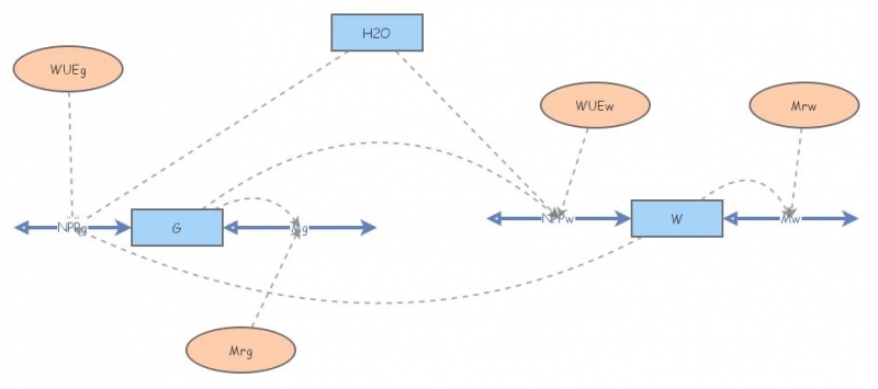 Competition between species model | Insight Maker