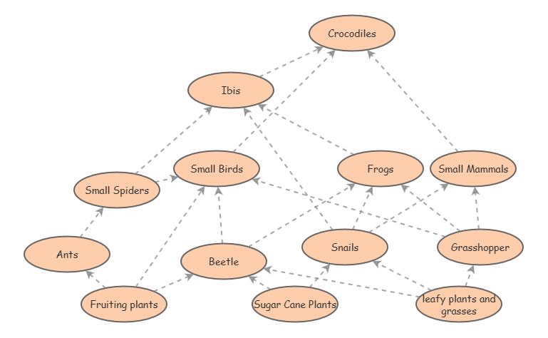 Clone of Cane Toad Food Web | Insight Maker