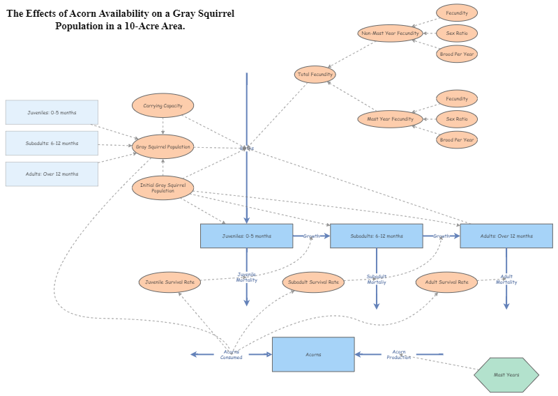 The Effects of Acorn Availability on a Gray Squirrel Population