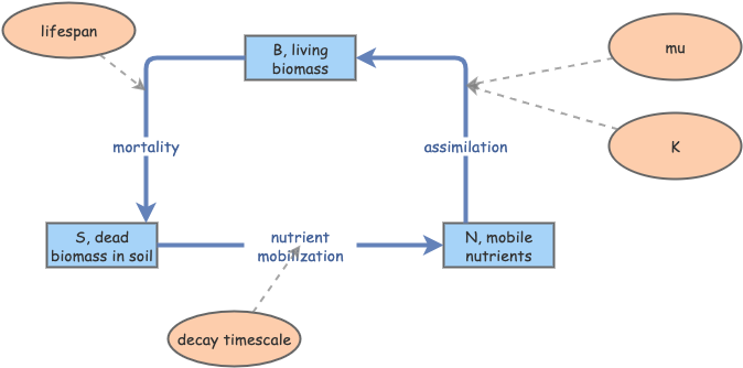 Clone of Terrestrial N cycle model template - Tropical Rainforest ...