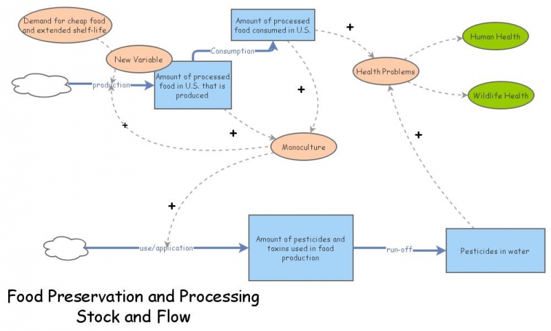 Clone of Bio Final Proj | Insight Maker
