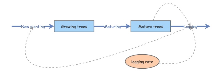 maturing tree | Insight Maker