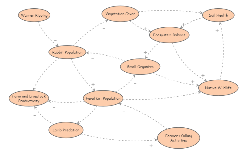 Rabbit_Feral_Cat | Insight Maker