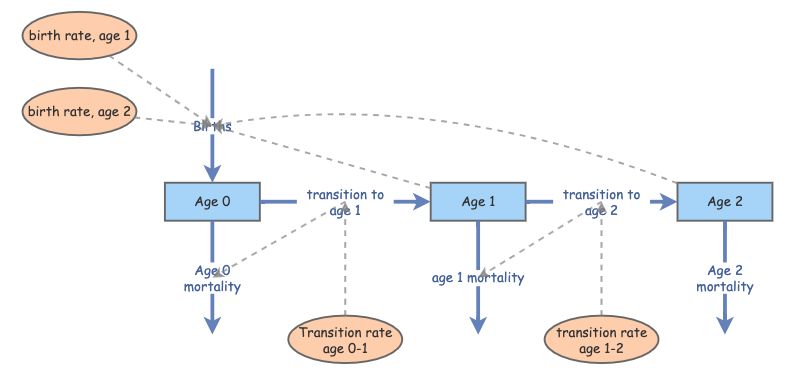 Lab 3 Age-structured model A.Olsen | Insight Maker