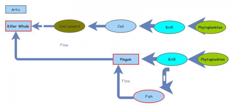 Food Web | Insight Maker
