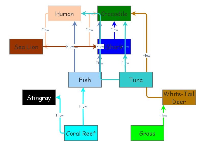 food web assignment insight maker